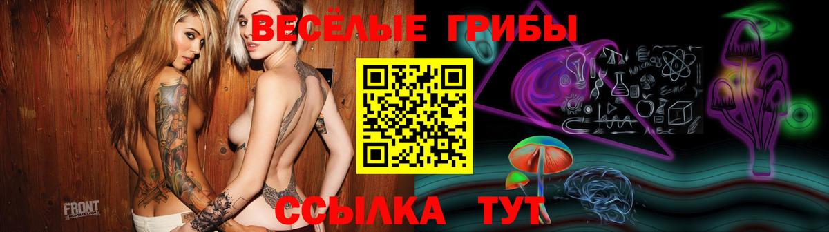 Алексин  Галлюциногенные грибы ЛСД  Вход с VPN 